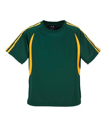Custom Mens BizCool Flash T-Shirts in Perth