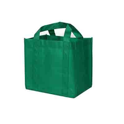 Non Woven Printed Green Shopping Bag online in Perth