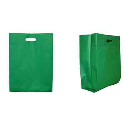 Printed Green Non Woven Large Gift Bag Online in Perth
