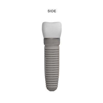 Wholesale Tooth Implant PVC Flash Drive Online