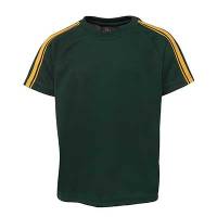 Apparels Tees & Singlets Tees ADULTS Sportswear Soccer Pre-made Uniforms PODIUM DUAL STRIPE CREW NECK TEE - 7DST Perth Australia