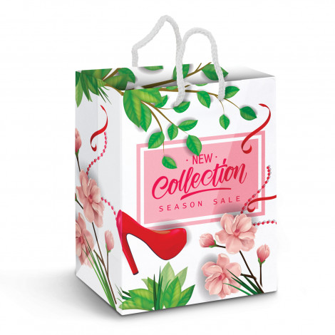 custom printed Laminated Full Colour Paper Carry Bags